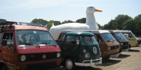 Buses by the Big Duck VW Campout 2015