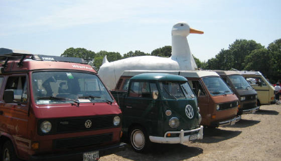 Buses by the Big Duck VW Campout 2015